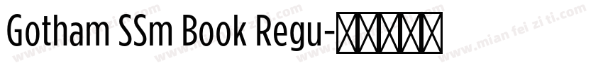 Gotham SSm Book Regu字体转换